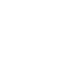Flamenco + Copihue
